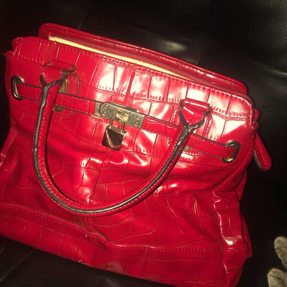 Aldo small tote